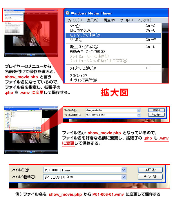 ���K�E�A�i�����}�j�A�̐��̓���_�E�����[�h���@